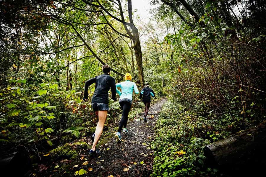 Guided Sunrise Adventure Trail Run Table Mountain, Cape Town - Where You Begin: Meeting Point and Easy Logistics