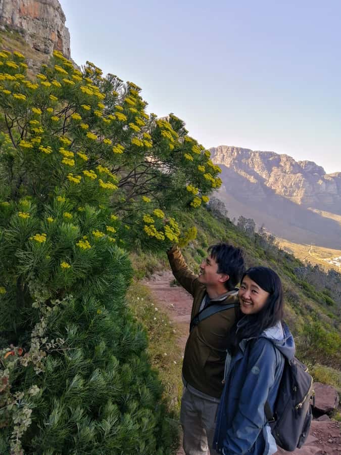 Guided Table Mountain Hike – Kasteelspoort Scenic Route - Hitting the Flat Summit: Views You Can Actually Use