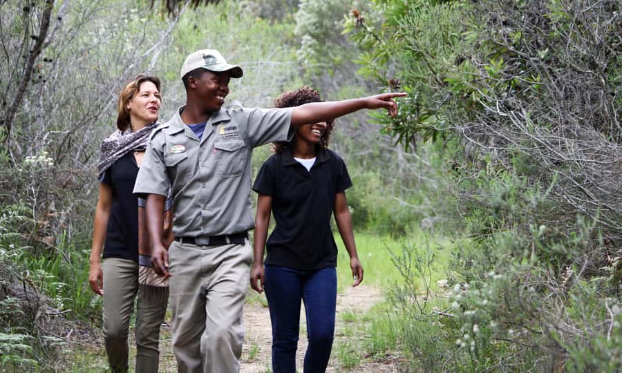 Guided Wildlife Tour and Forest Walk with Lunch Platter - Key things you’ll notice right away