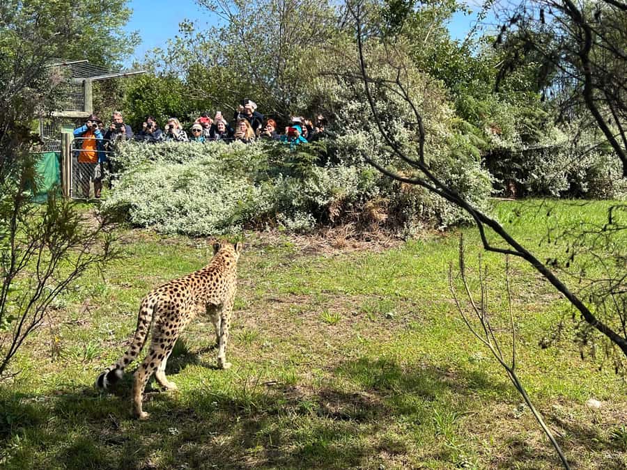 Guided Wildlife Tour and Forest Walk with Lunch Platter - Lunch platter break: what you can expect and how to plan for it