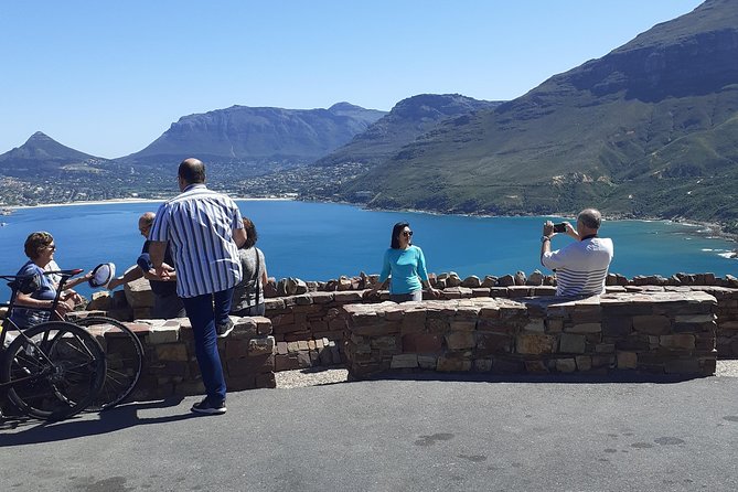 Half day African Penguin Tour - Price and what you actually get for $71.89