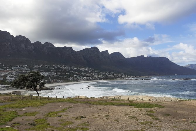 Half day African Penguin Tour - Hout Bay Harbor: seals, markets, and that “only one way in” feeling