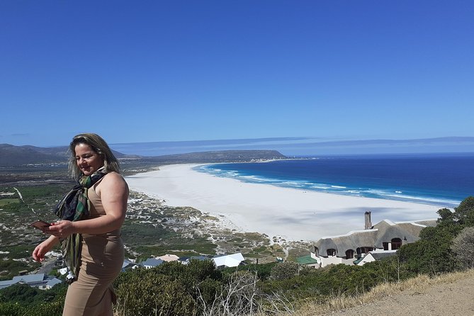 Half day African Penguin Tour - Chapman’s Peak Drive: the scenic mountain road you’ll remember