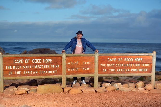 Half Day Boulders Penguins and Cape Point Small Group Tour - The Van Experience: Small Group Comfort and Pacing