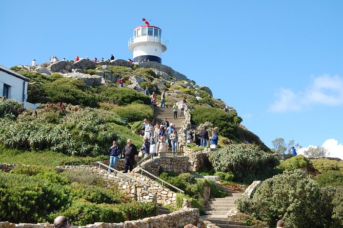 Half day Cape Point Sightseeing Tour with Penguins from Cape Town - Cape Point Nature Reserve and the Old Lighthouse Walk