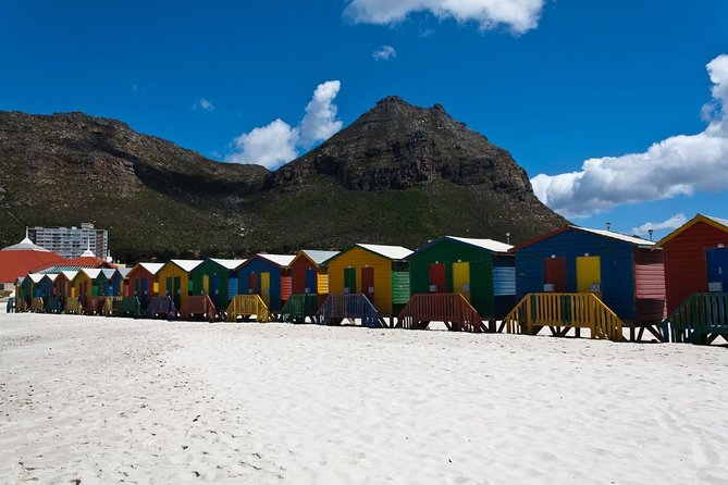 Half day Cape Point Sightseeing Tour with Penguins from Cape Town - The Return Loop: False Bay, Simons Town, and Muizenburg
