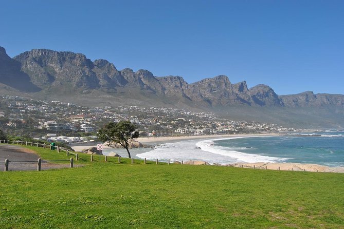 Half day Cape Point Sightseeing Tour with Penguins from Cape Town - Price and Value: Is $86.27 a Good Deal?