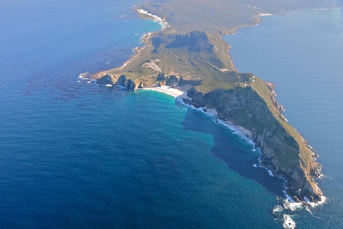 Half day Cape Point Sightseeing Tour with Penguins from Cape Town - Tips to Turn 4.5 Hours Into a Real Win