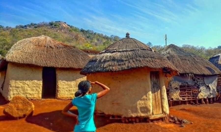 Half Day Durban City Tour and Phezulu Safari Park - Should you book this tour?