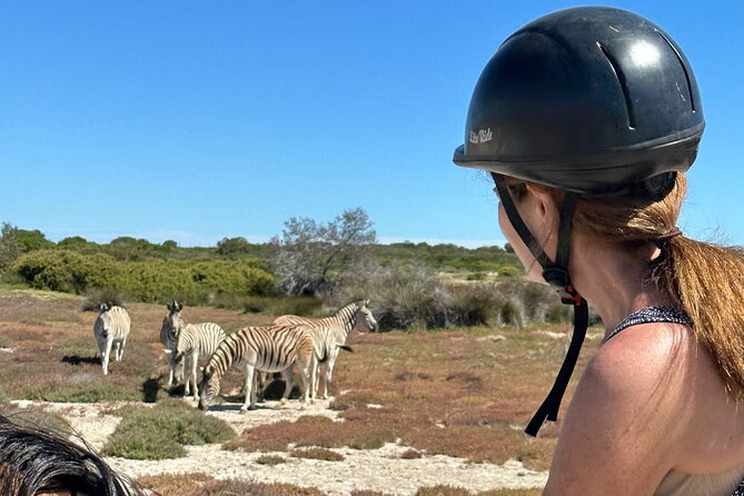 Half day Horse back safari - The !Khwa ttu lunch and cultural tour: why it adds real value