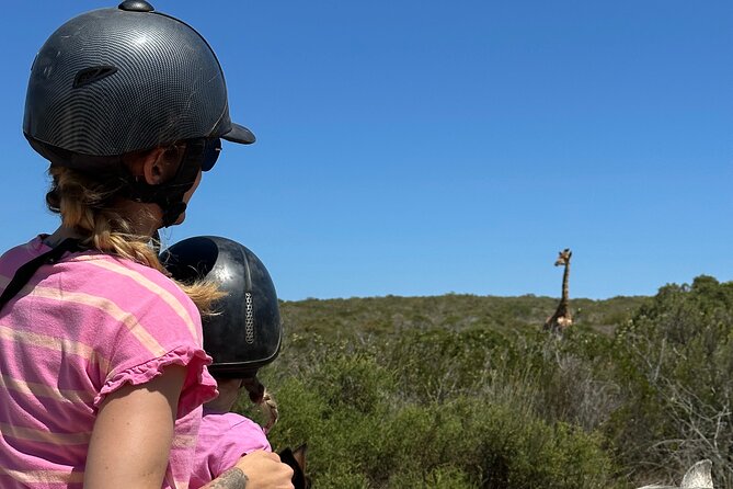 Half day Horse back safari - Views and seasons: spring wildflowers and Atlantic air