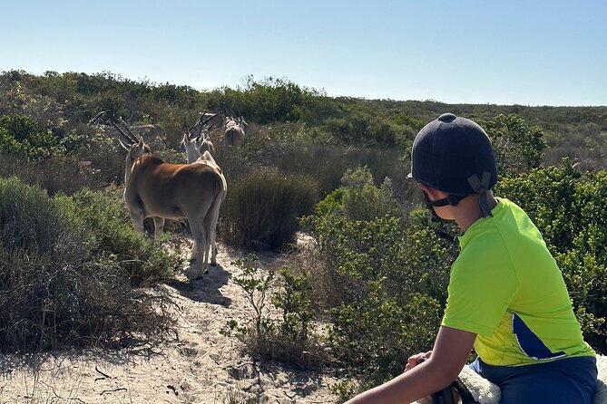 Half day Horse back safari - Price, value, and what you’re really paying for