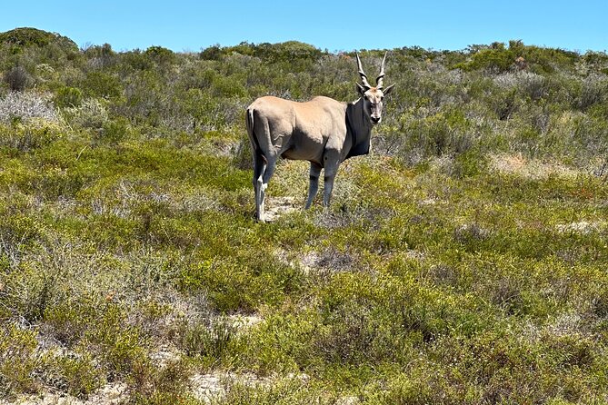 Half day Horse back safari - Logistics that can trip you up: gate access and cell signal