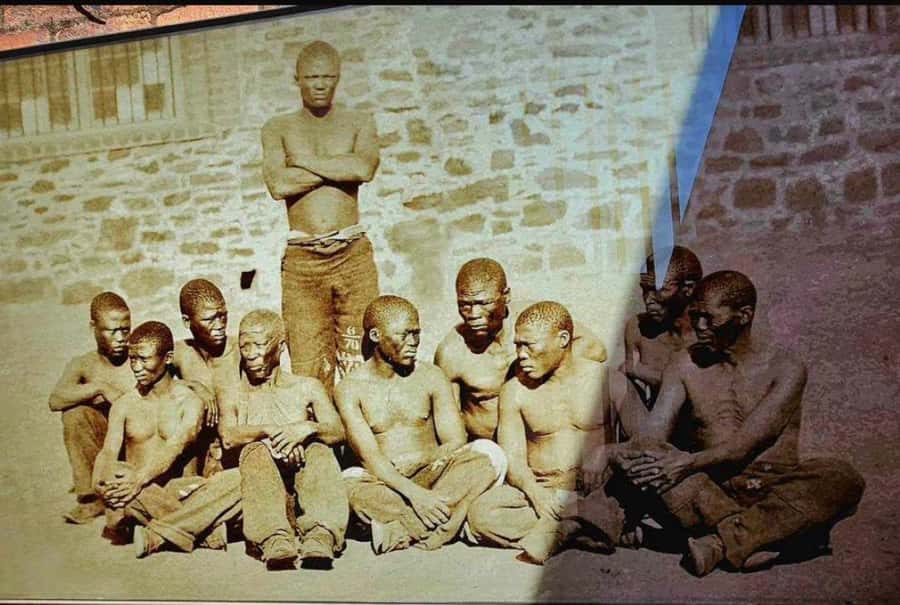 Half Day Soweto and Apartheid Museum Guided Tour - Apartheid Museum self-guided time: when you control the pace