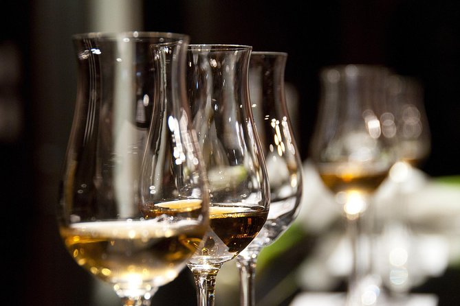 Half-Day Stellenbosch Winelands Tour from Cape Town - The Driver-Guide Factor: Why the Stories Matter on This Tour