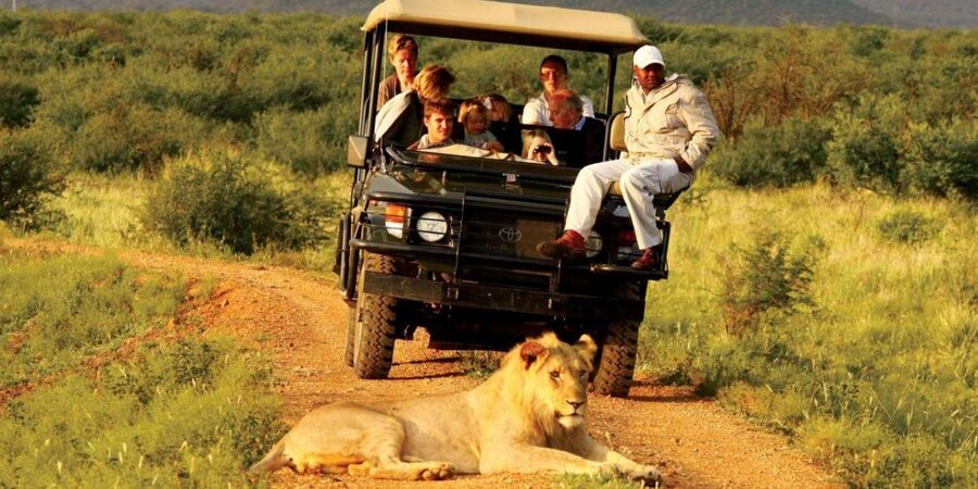 Half Day Tala Game Reserve & Natal Lion Park from Durban - Natal Lion Park: lions and elephants, including African and Asian elephants