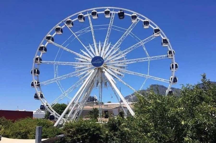 Half Day Tour to Robben Island with Pre-Booked Ticket - Free time at the V&A Waterfront after the ferry