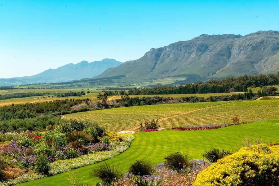 Half-Day Winelands E-Bike Tour with Wine Tasting - Why an e-bike Winelands tour makes sense