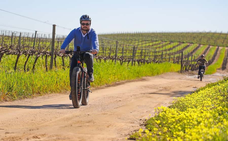 Half-Day Winelands E-Bike Tour with Wine Tasting - The vineyard ride: what you’ll actually do on the bike