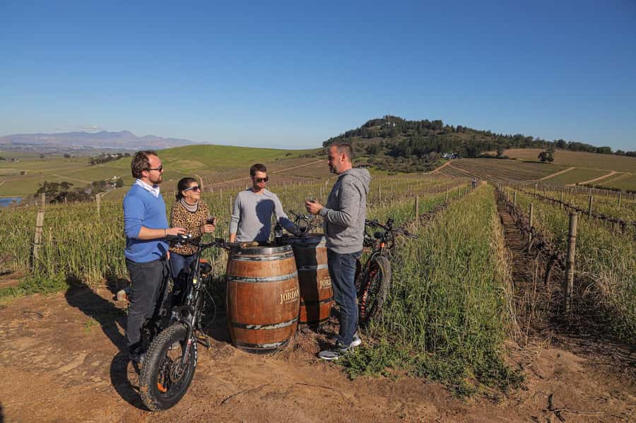 Half-Day Winelands E-Bike Tour with Wine Tasting - Wine tasting at an award-winning estate, without the shopping trap