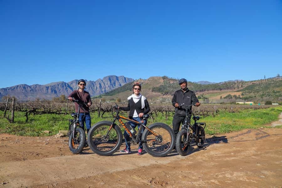 Half-Day Winelands E-Bike Tour with Wine Tasting - Who should book this e-bike wine tour, and who should skip it