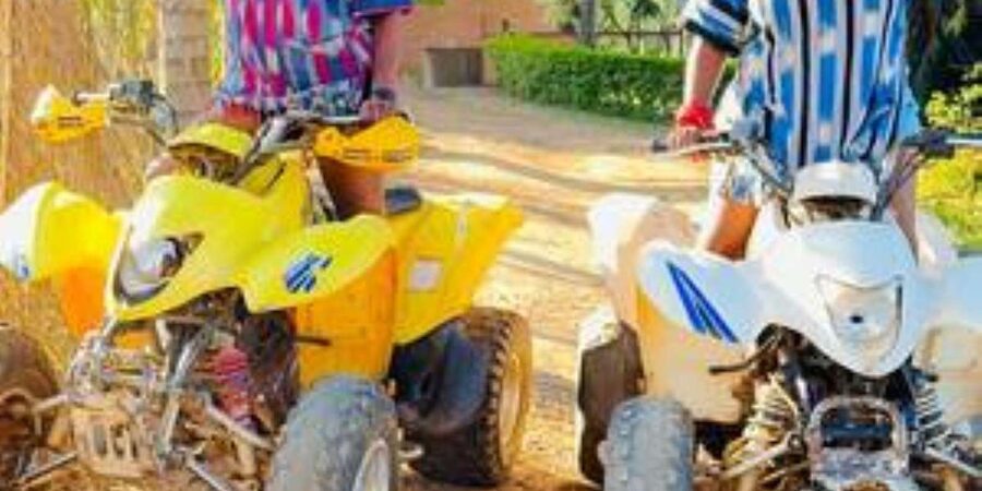 Hazyview : 30 minutes Quad Ride - Macadamia plantation cruising and natural forest sections