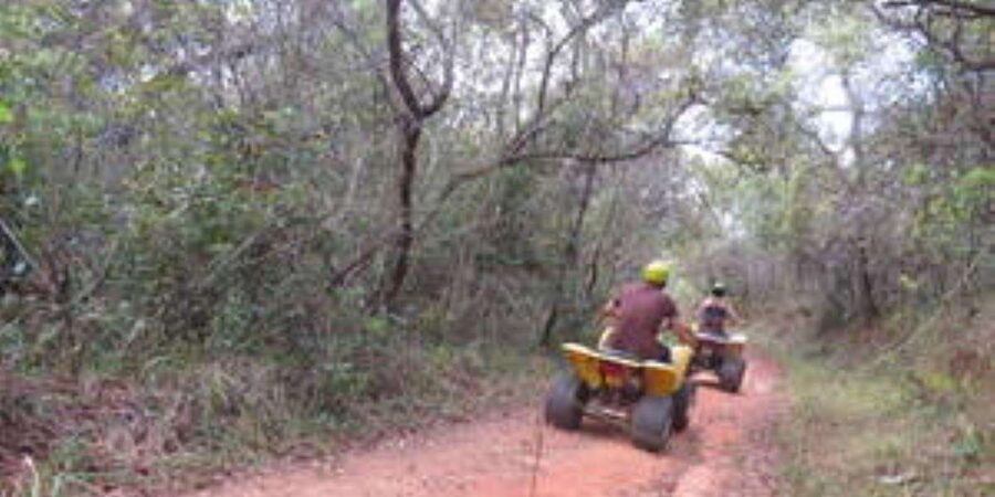 Hazyview : 30 minutes Quad Ride - Price and value: is $28 for 30 minutes worth it?