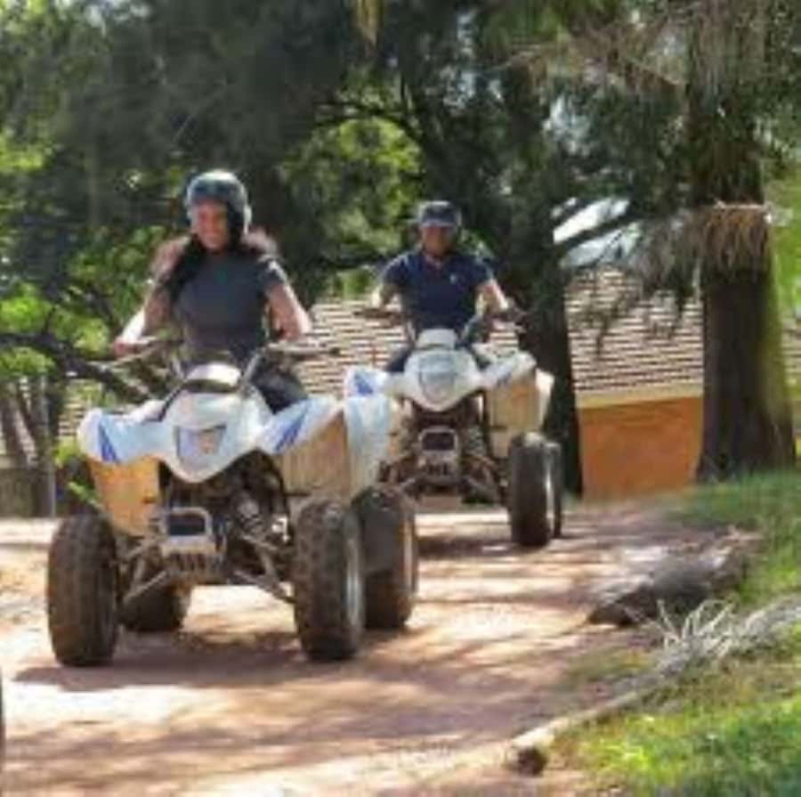 Hazyview: Guided Macadamia Plantation and Forest Quad Safari - Key Things That Make This Quad Safari in Hazyview Worth It