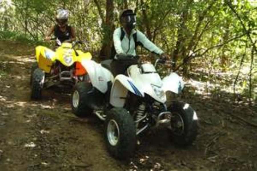 Hazyview: Guided Macadamia Plantation and Forest Quad Safari - Sabie River Forest Trails: The Part You Will Talk About Later
