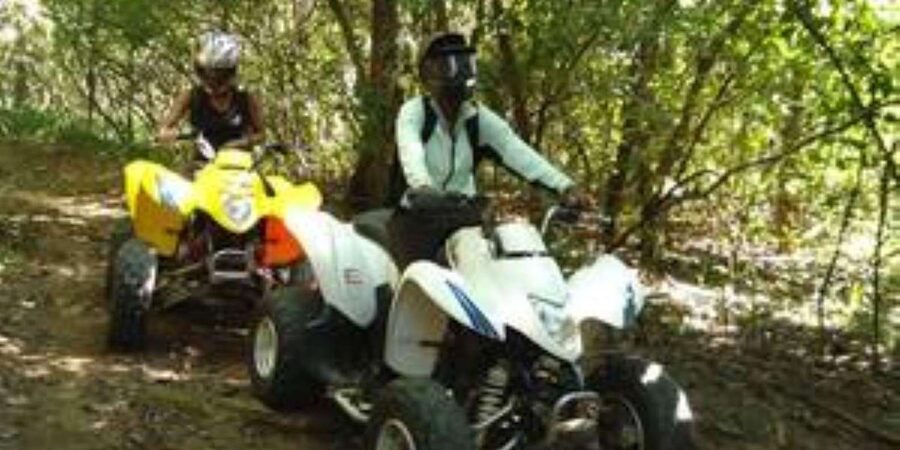 Hazyview: Guided Macadamia Plantation and Forest Quad Safari - Minimum Ages and Who This Safari Fits