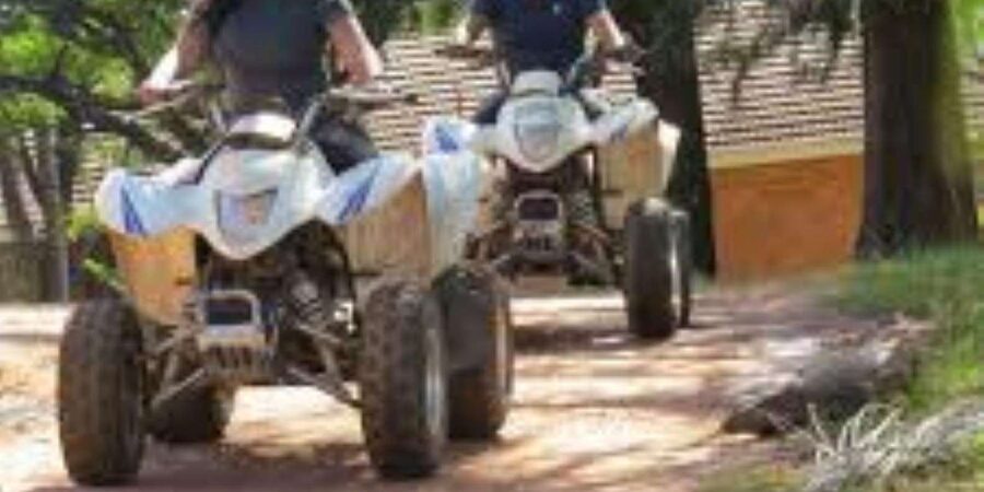 Hazyview: Guided Macadamia Plantation and Forest Quad Safari - Language and Guide Style: Why English Matters