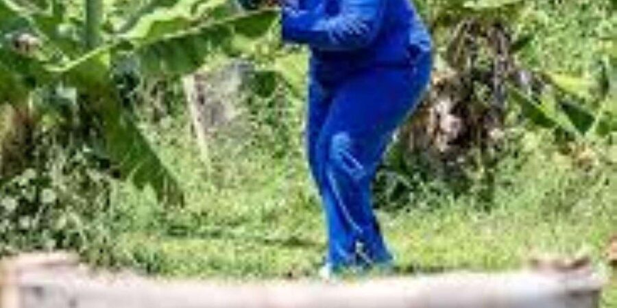Hazyview : Paintball Target Shooting - What to Wear, What to Bring, and the Simple Prep That Matters