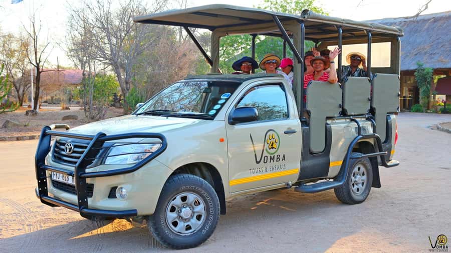 Hazyview: Private Full-Day Guided Kruger Safari - How the 9 Hours Flow, From Morning Drive to Last Sightings
