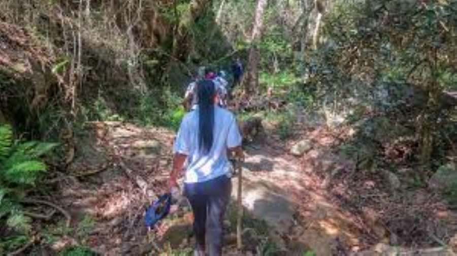 Hazyview : Sabie River Hiking Trail 12km - Choosing 6 km, 8 km, or 12 km: what to pick for your fitness