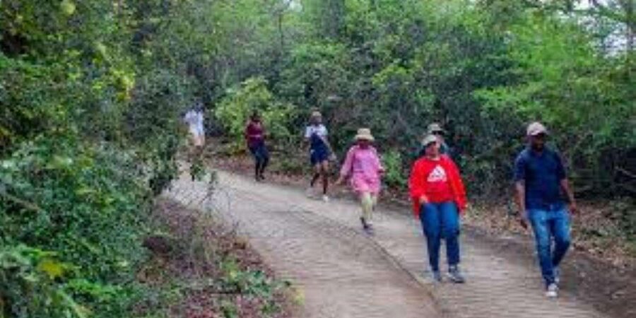 Hazyview : Sabie River Hiking Trail 12km - Your guide matters: English, pacing, and how much nature talk you’ll get