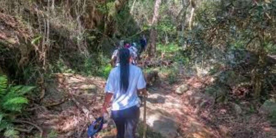 Hazyview : Sabie River Hiking Trail 12km - What the 12 km hike feels like day-to-day (not just a distance number)