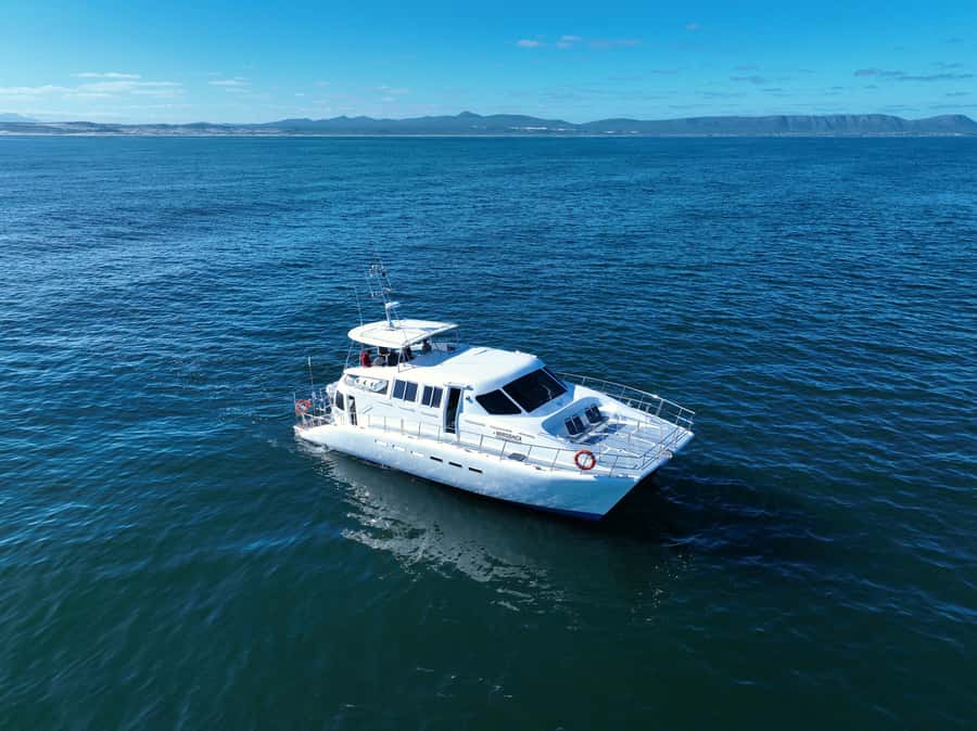 Hermanus: Whale Watching and Wine Testing - Hermanus and Walker Bay, where Southern Right whales put on the show