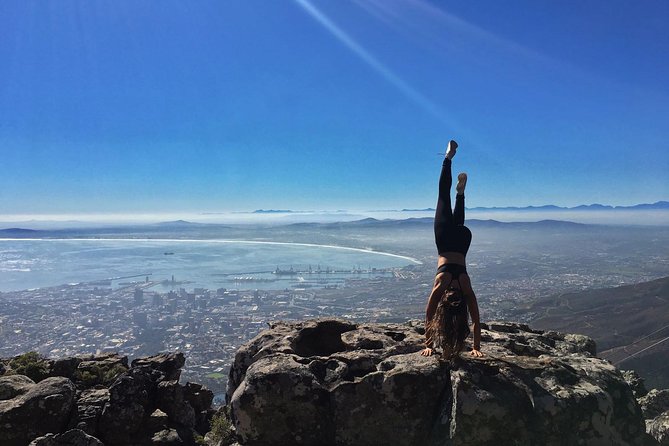 Hike Table Mountain or Lions Head in Cape Town Like a Local - What you actually learn: flora and fauna, plus mountain sense
