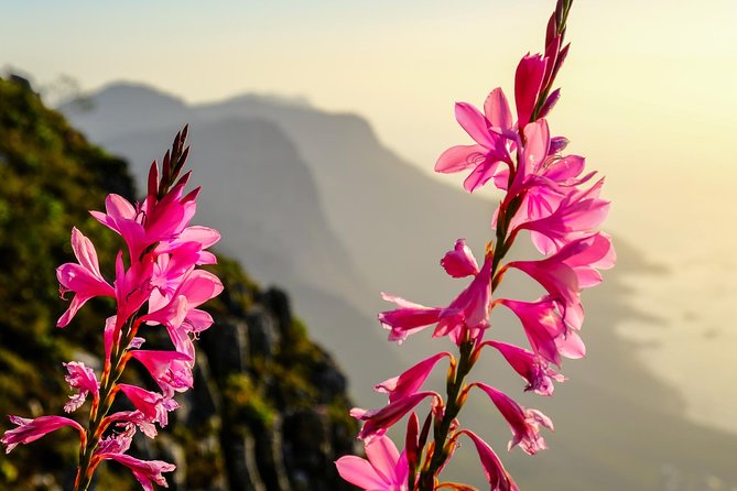 Hike Table Mountain via the India Venster trail - Stop 1: The India Venster Ascent, From the Window to Real Scrambling