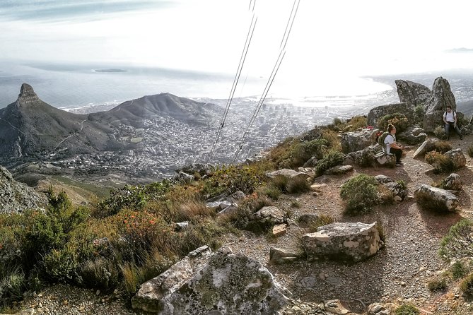 Hike Table Mountain with a Guide - Choose Route - Reaching the Top: Views, Weather, and the Cable Car Decision