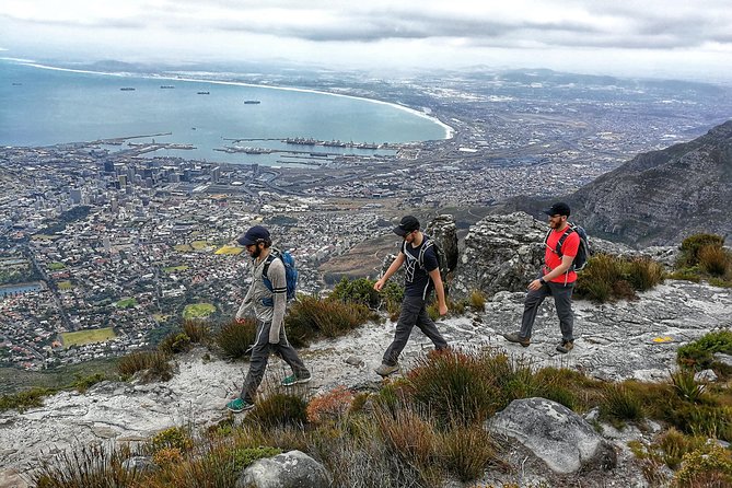Hike Table Mountain with a Guide - Choose Route - The Value of a Guide: More Than Just a Route Finder