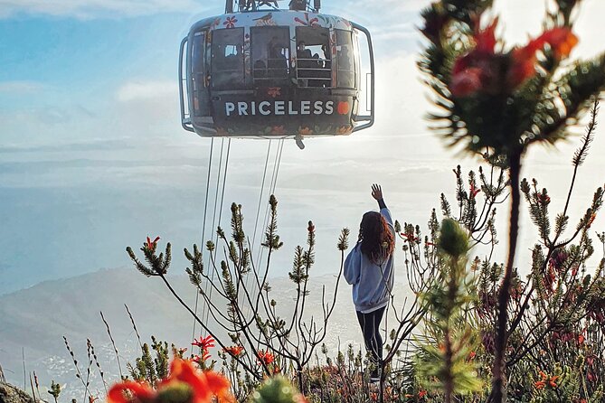 Hike Table Mountain with a Guide - Choose Route - Price and Value: What $65 Buys You on Table Mountain