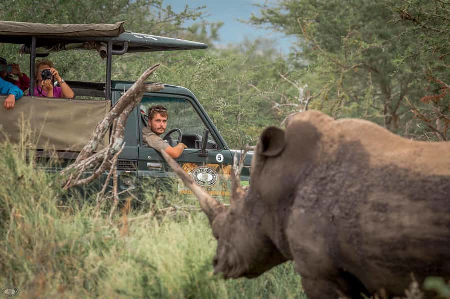 Hluhluwe-Imfolozi: Big 5 Full or Half-Day Safari - The 5:00 AM start from St Lucia, and why it helps your sightings