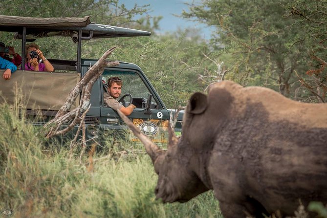 Hluhluwe-Imfolozi Park Full Day Big 5 Safari Tour - Key highlights you should care about