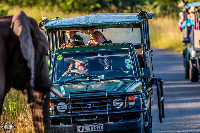 Hluhluwe-Imfolozi Park Full Day Big 5 Safari Tour - Getting there at 5:00 am: what the day feels like