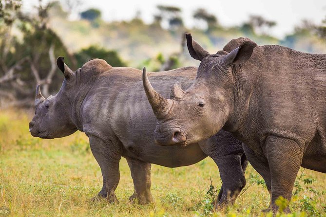 Hluhluwe-Imfolozi Park Full Day Big 5 Safari Tour - The Nyalazi Gate start and the ranger intro