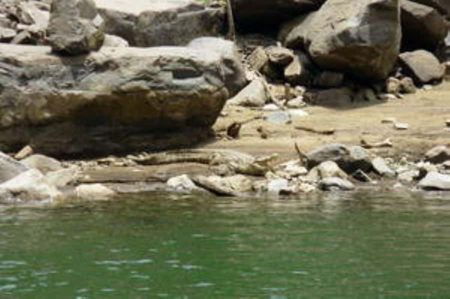 Hoedspruit: Blyde River Canyon Dam Boat Cruise - Blyde Dam boat cruise near Hoedspruit, what makes it special