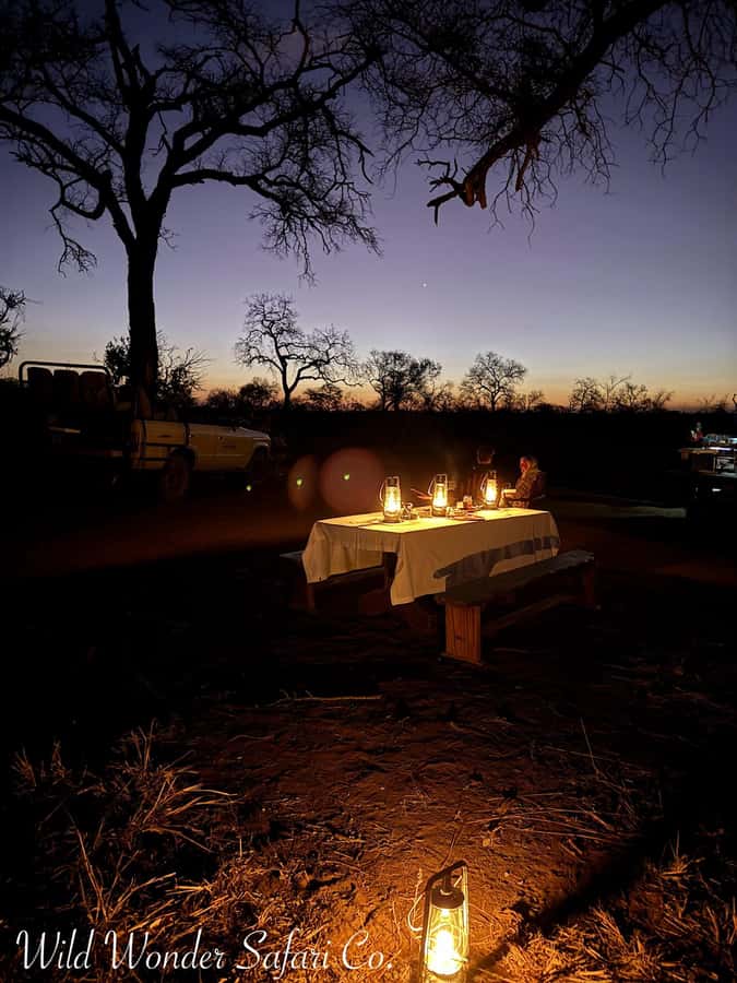 Hoedspruit: Dinner in the Bush & Safari Game Drive - Hoedspruit pickup, timing, and what the evening schedule feels like