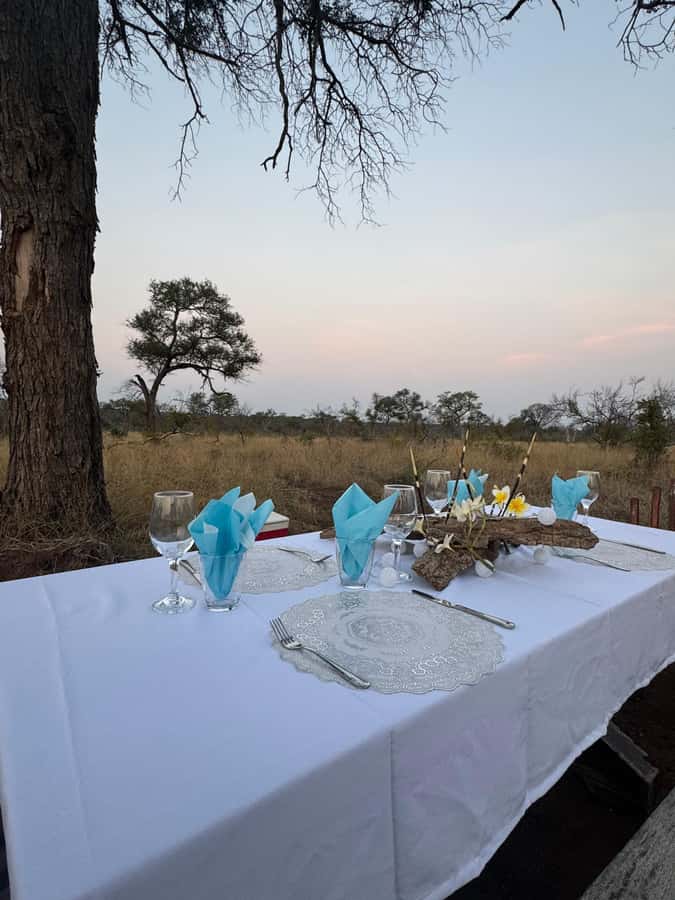 Hoedspruit: Dinner in the Bush & Safari Game Drive - From the reserve to the fire: how the bush dinner under the stars actually works