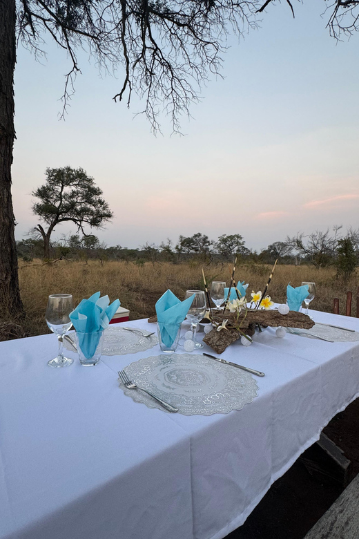 Hoedspruit: Dinner in the Bush & Safari Game Drive - Who should book this safari plus bush dinner, and who should skip it